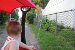 HallMonitorAlleyPatrol